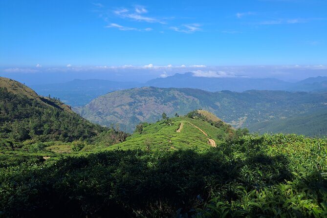 Private Belihuloya Hike: Baker's Dark Hunting Trail - Who Will Love This Tour?