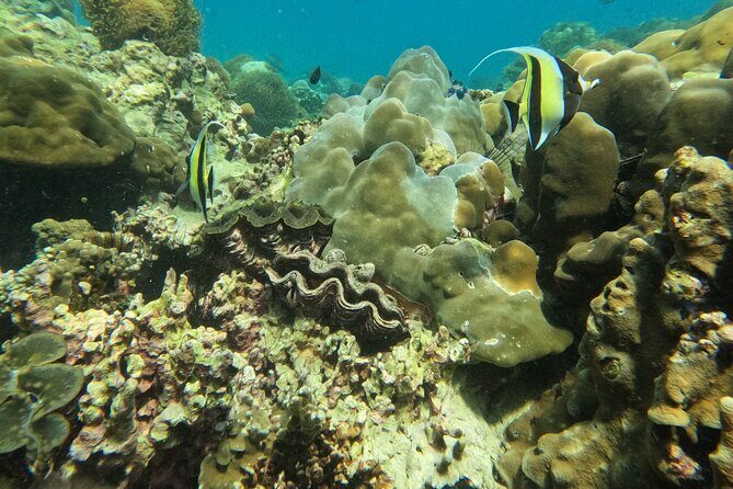 Private Boat Route B by Long Tail Boat - Koh Bulu / Koh Pai - The Clear Water Snorkel Spot