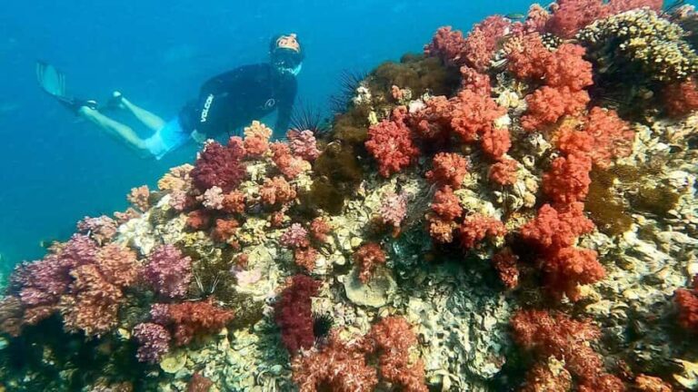 Private boat snorkeling trip half day - Exploring the Itinerary: What Makes Each Stop Special