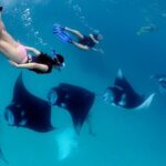 Private Boat to Nusa Penida with Snorkeling and Land Tour - Why This Tour Offers Great Value