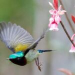 Private car to Ba Na hill from Da Nang - Why this experience offers good value