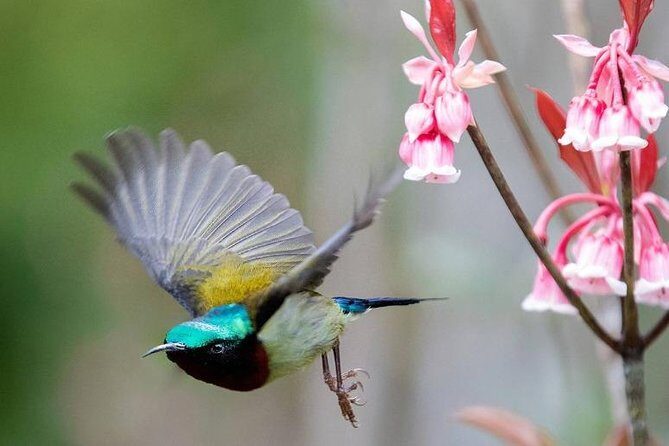 Private car to Ba Na hill from Da Nang - Why this experience offers good value