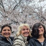 Private Car Tour to Mt. Fuji and Kawaguchiko or Hakone - The Itinerary: What to Expect