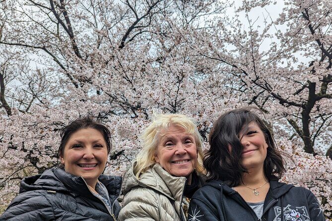 Private Car Tour to Mt. Fuji and Kawaguchiko or Hakone - The Itinerary: What to Expect