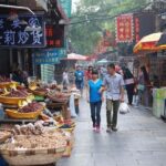 Private Chengdu Bullet Train Trip to Xi'an: Terracotta Warriors and City Wall - Practical Considerations