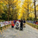 Private Chengdu Impression Day Tour including Panda Base - Who Is This Tour Best Suited For?