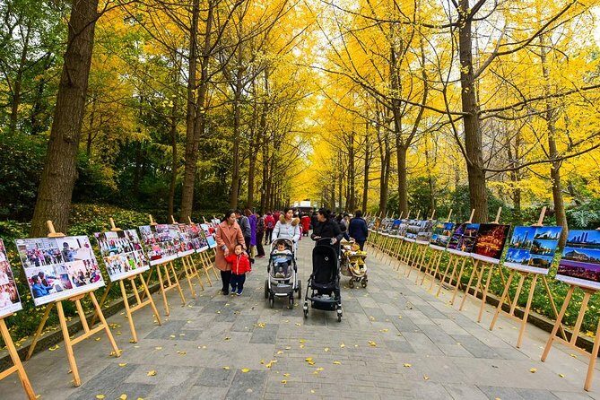 Private Chengdu Impression Day Tour including Panda Base - Who Is This Tour Best Suited For?