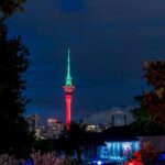 Private Christmas Walking Tour in Auckland City Lights - Why This Tour Offers Value