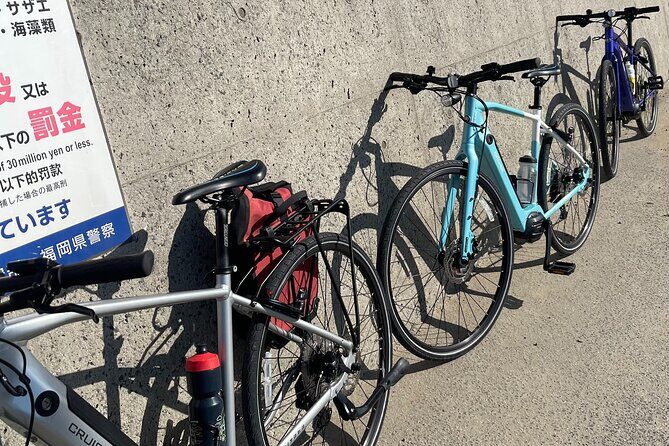 Private Coastline Ebike Tour in Fukuoka - What to Expect from the Experience