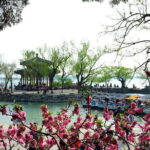 Private Custom Beijing City Day Tour from Tianjin City - What to Expect on the Day