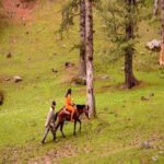 Private Custom Tour: Gulmarg local Sightseeing with guide - Practical Tips for Your Tour