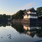 Private Custom Tour in Tokyo with a Bilingual Japanese Guide - Why This Tour Offers Great Value