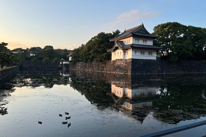 Private Custom Tour in Tokyo with a Bilingual Japanese Guide - Why This Tour Offers Great Value