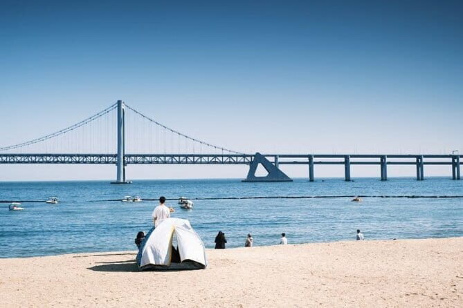 Private Custom Tour with a Local Guide Busan - The Value of a Private, Custom Tour