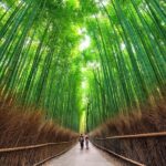 Private Customizable Kyoto Day Tour by Car from Osaka - Value for Money