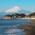 Private Customizable Tour in Kamakura - What Makes This Tour a Good Choice?