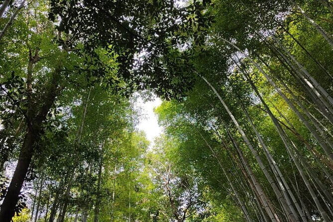 Private Customized Walking in Tour Kyoto - Who Would Enjoy This Tour?