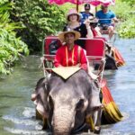 Private: Damnoen Saduak Floating Market, Railway, Wat & More - Who Is This Tour Best For?