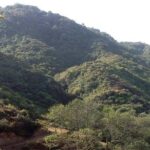 Private Day Hike to Shivapuri - The Cultural Charm of Nagi Gumba