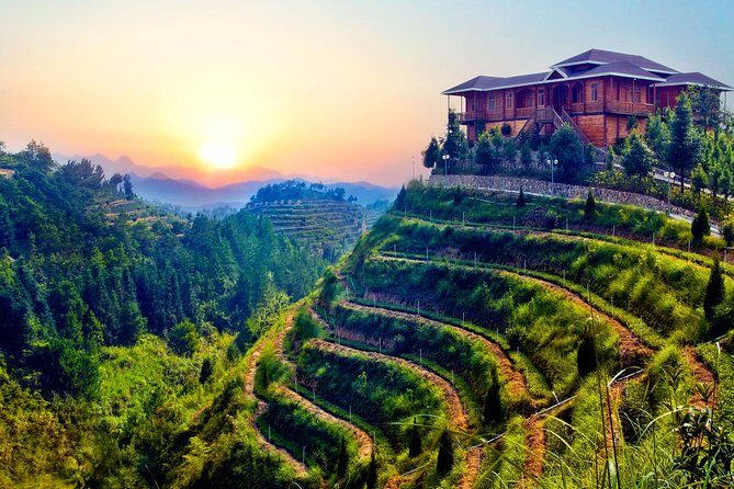 Private Day Tour: Anxi Tea Garden And Hongen Rock From Xiamen - What Travelers Should Know