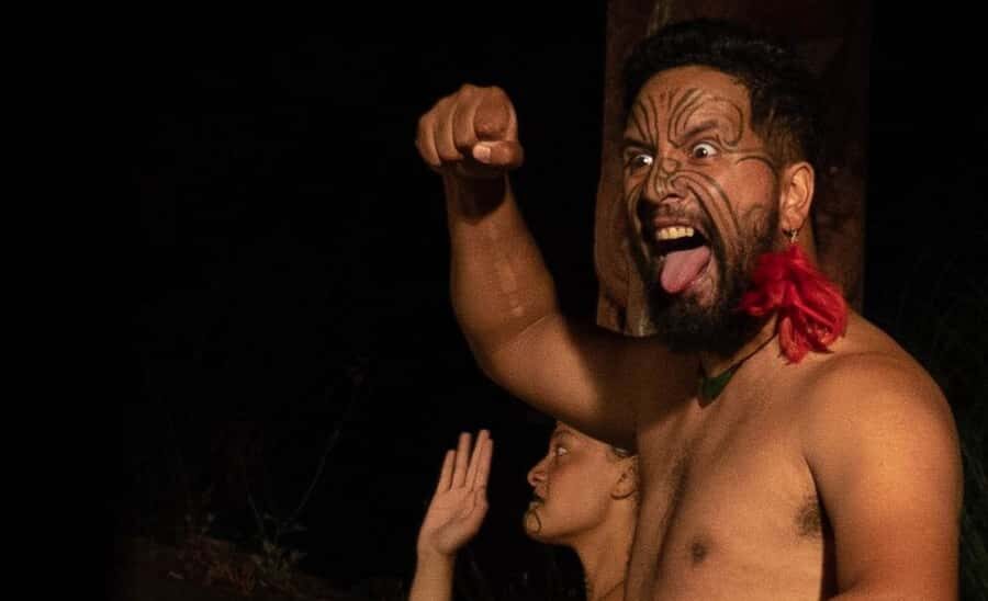 Private Day Tour - Rotorua, Kiwi Hatchery & Mori Culture - Mori Culture at Mitai Village