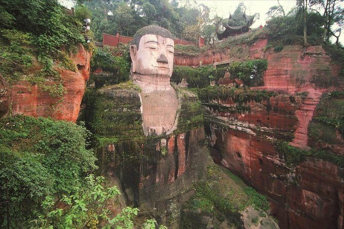 Private Day Tour to Chengdu from Beijing by Air: Leshan Giant Buddha and Pandas - What We Think About the Price