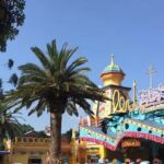 Private Day Tour to Chimelong Paradise in Guangzhou - The Experience: What You Can Expect from This Tour