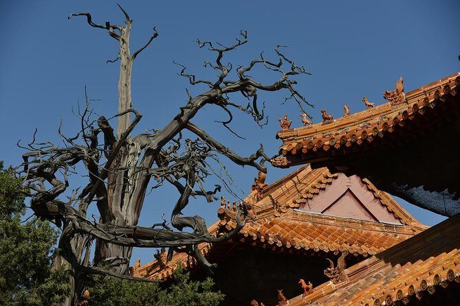 Private Day Tour to Confucius Home Town Qufu By Bullet Train from Beijing - Final Thoughts