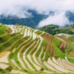 Private Day Tour to Longji Rice Terraces from Yangshuo - Authenticity and Value
