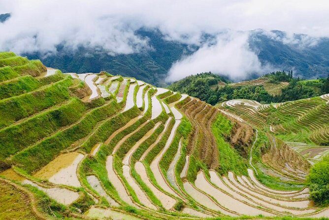 Private Day Tour to Longji Rice Terraces from Yangshuo - Authenticity and Value