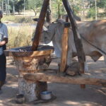 Private Day Tour to Mt Popa - Is This Tour Worth It?