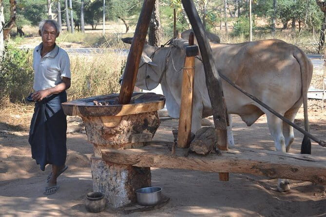 Private Day Tour to Mt Popa - Is This Tour Worth It?