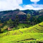 Private Day Tour to Nuwara Eliya Pickup from Kandy - Practical Insights for Travelers