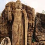 Private Day Tour to Polonnaruwa with Driver from Negombo - Practical Notes and Value