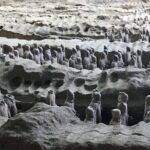 Private Day Tour to Terra Cotta Warriors Museum from Xian - Practical Details and Tips