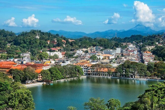 Private Day Trip To Highlights in Kandy. - Who Will Appreciate This Tour?