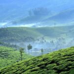 Private Day Trip to Munnar from Kochi (Cochin) - Unpacking the Itinerary: What to Expect at Each Stop