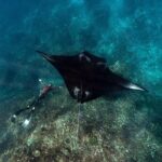 Private Day trip to Nusa Penida Snorkeling 4 Spots + Land Tour - Overview of the Tour