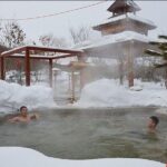 Private Day Trip to Yingjie Hot Spring in Bin County from Harbin - Practical Details and Value