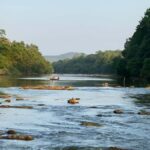 Private Driver: Kelaniya Temple & River View Scenic Ride - Scenic Kelani River Viewpoint