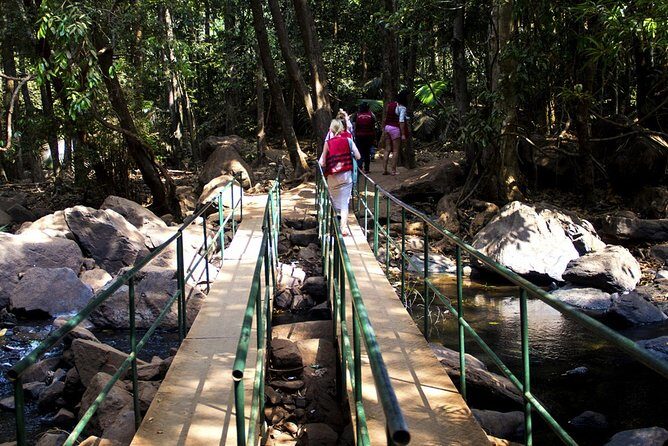 Private Dudhsagar waterfalls & Spice Plantation with Lunch from Mormugao Port - Transportation, Timing, and Practical Details