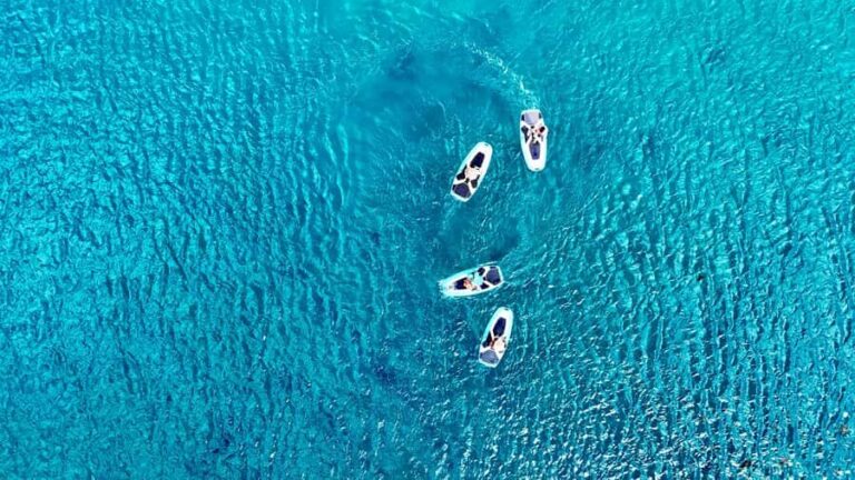 Private E-Board Tour of Moorea Lagoon - Why Choose the Private E-Board Tour?