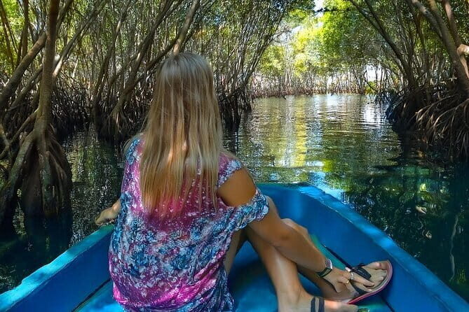 Private Excursion to Galle - Final Thoughts: Is This Tour Right for You?