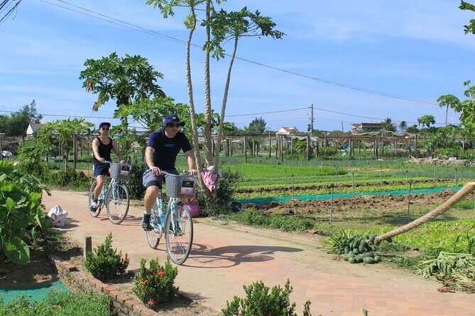 Private Experience Cycling , Buffalo and Basket Boat Ride - Why We Think This Tour Offers Great Value
