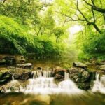 Private Flexible Hangzhou Layover Tour in Your Way - Pricing and Value