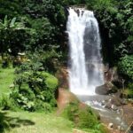 Private Full-Day Car Charter: Beauty of North Bali Tour - Passing Landmarks and Scenic Routes