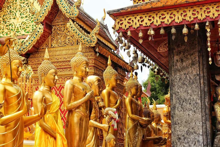 Private Full day Chiang Mai City Tour - Why Choose the Private Full Day Chiang Mai City Tour?