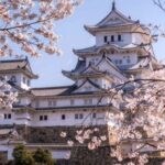 Private Full Day Himeji and Kobe Day Tour - Who Will Love This Tour?