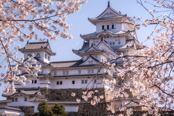 Private Full Day Himeji and Kobe Day Tour - Who Will Love This Tour?
