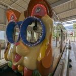 Private Full-Day Nara Tour Hozanji Temple Cable Car and Nara Park - What’s Included and What’s Not